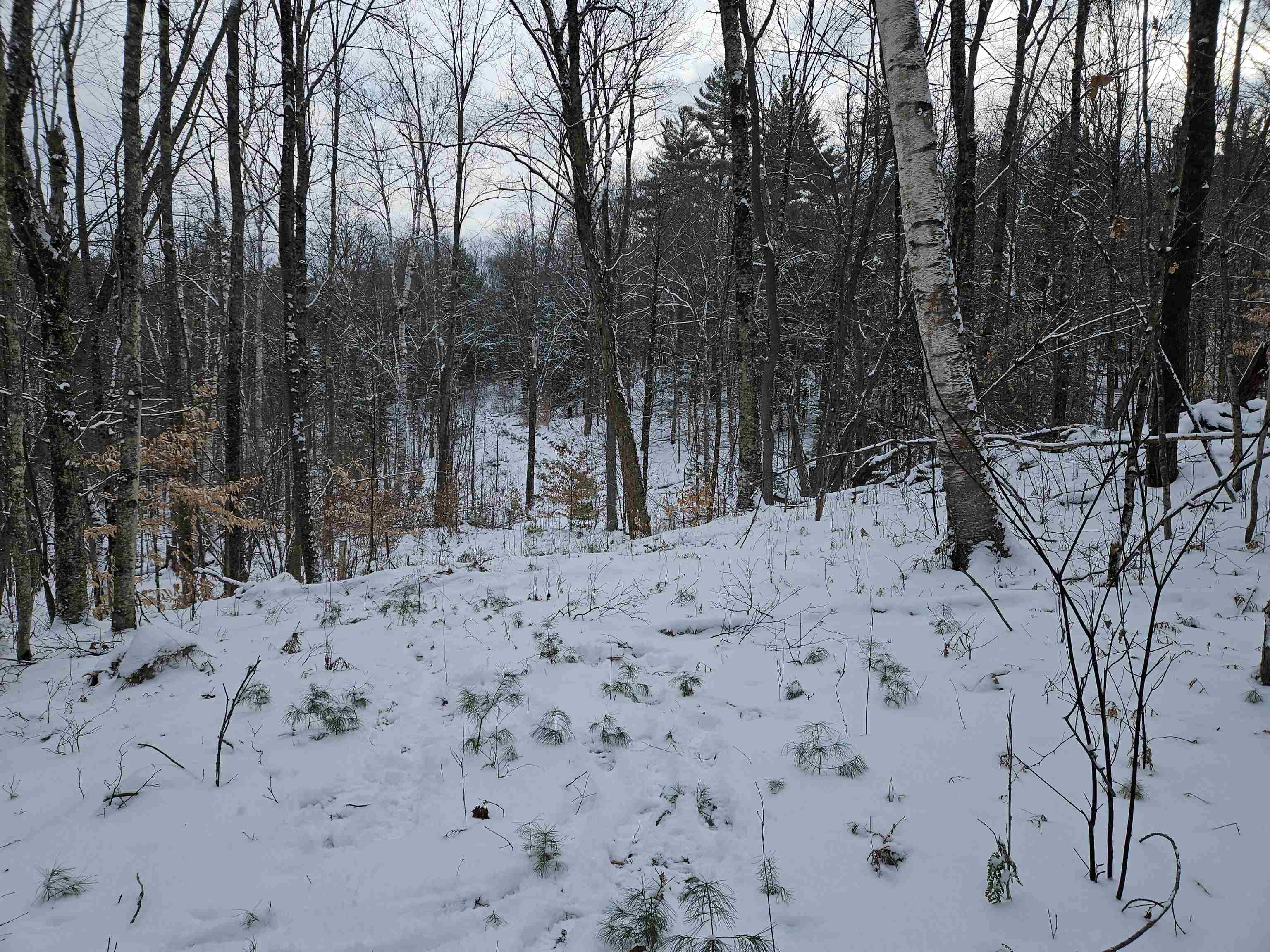 47 Highbridge Road Lyme, NH 03768 - Photo 16 of 43