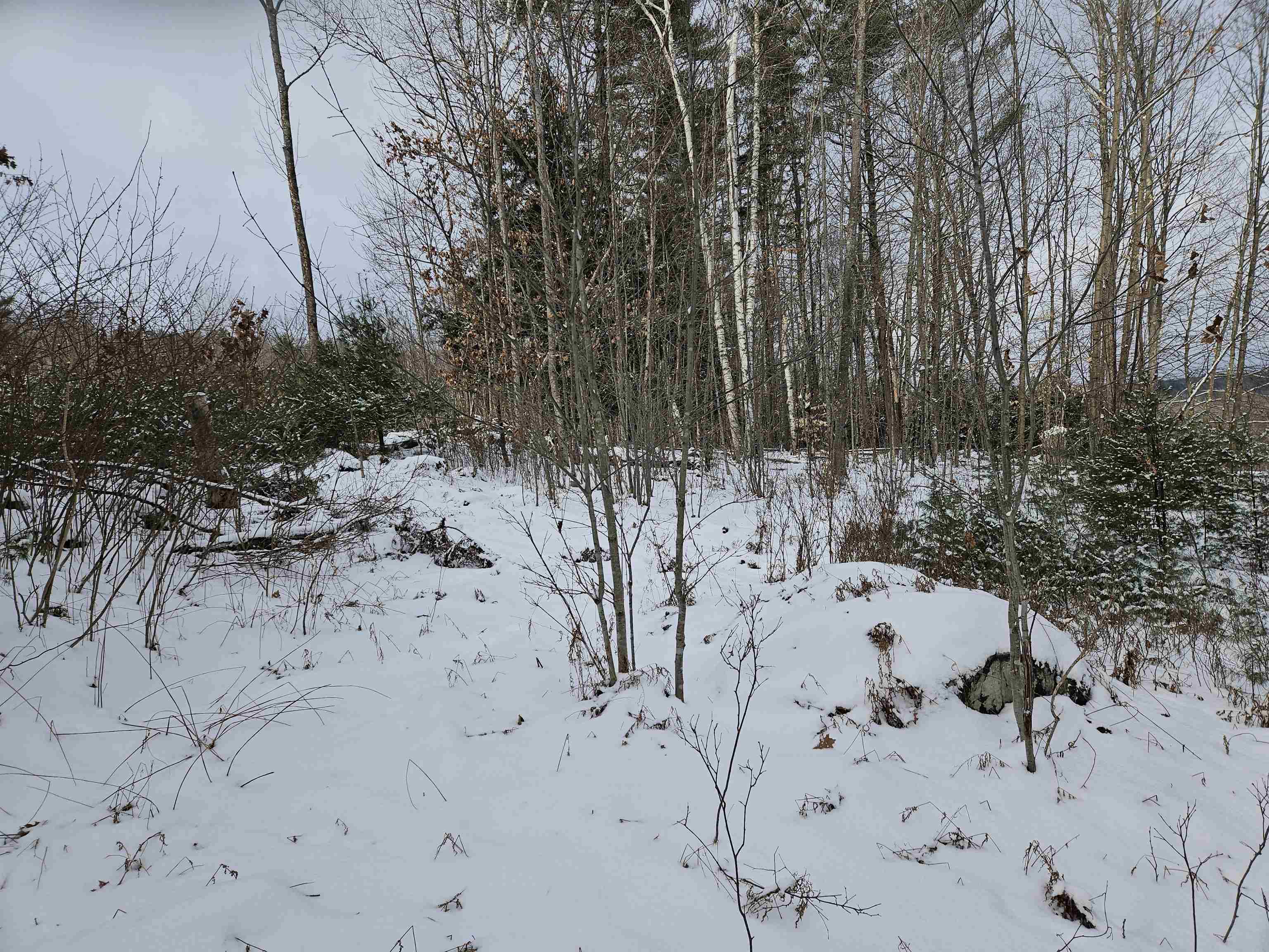 47 Highbridge Road Lyme, NH 03768 - Photo 19 of 43