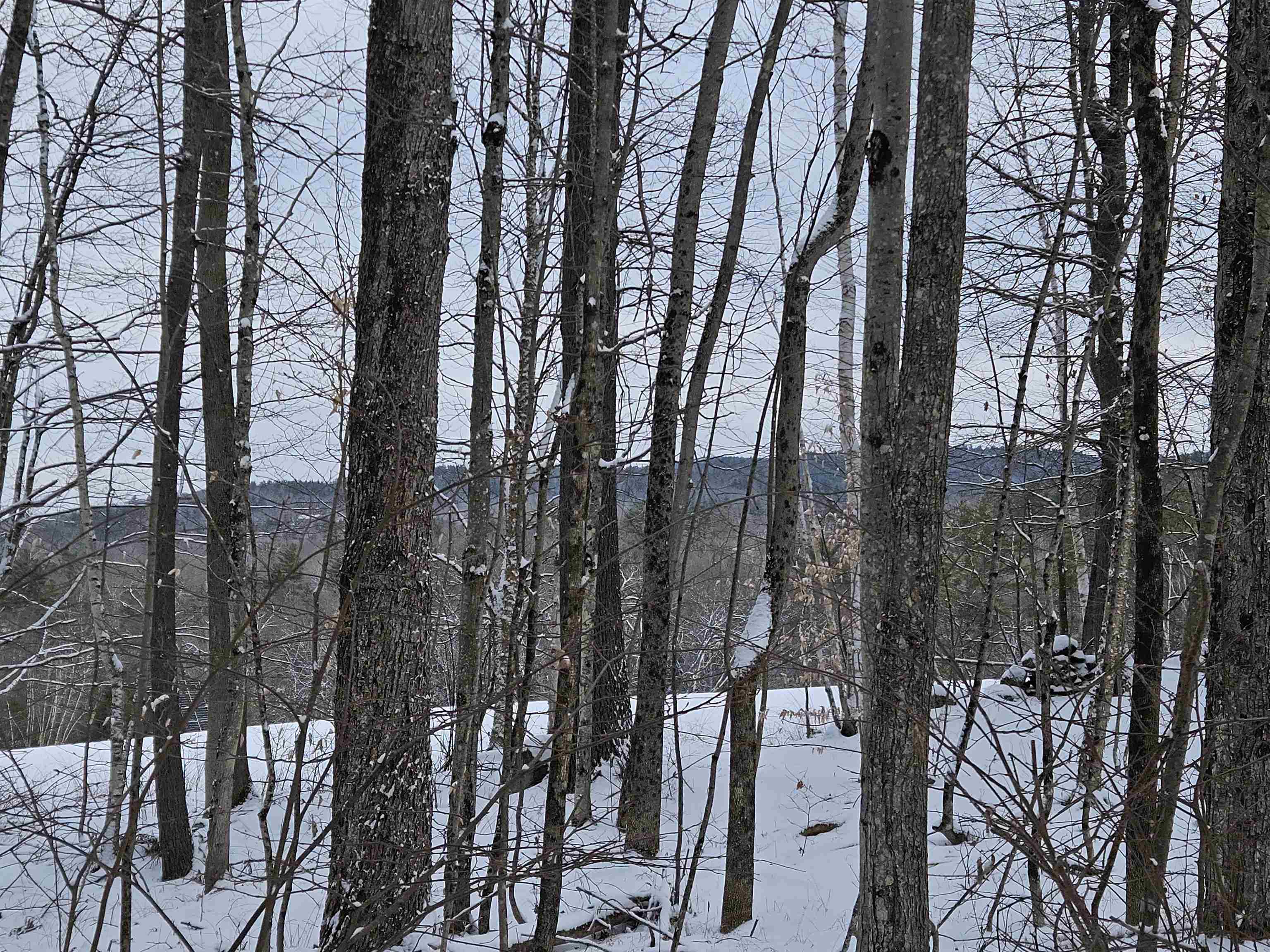 47 Highbridge Road Lyme, NH 03768 - Photo 2 of 43