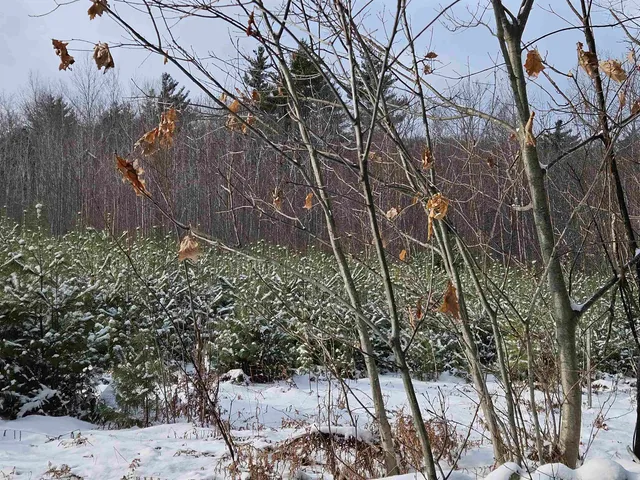 $245,000 | 47 Highbridge Road, Lyme, NH 03768