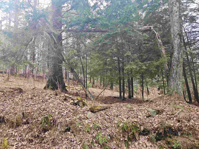 $245,000 | 47 Highbridge Road, Lyme, NH 03768