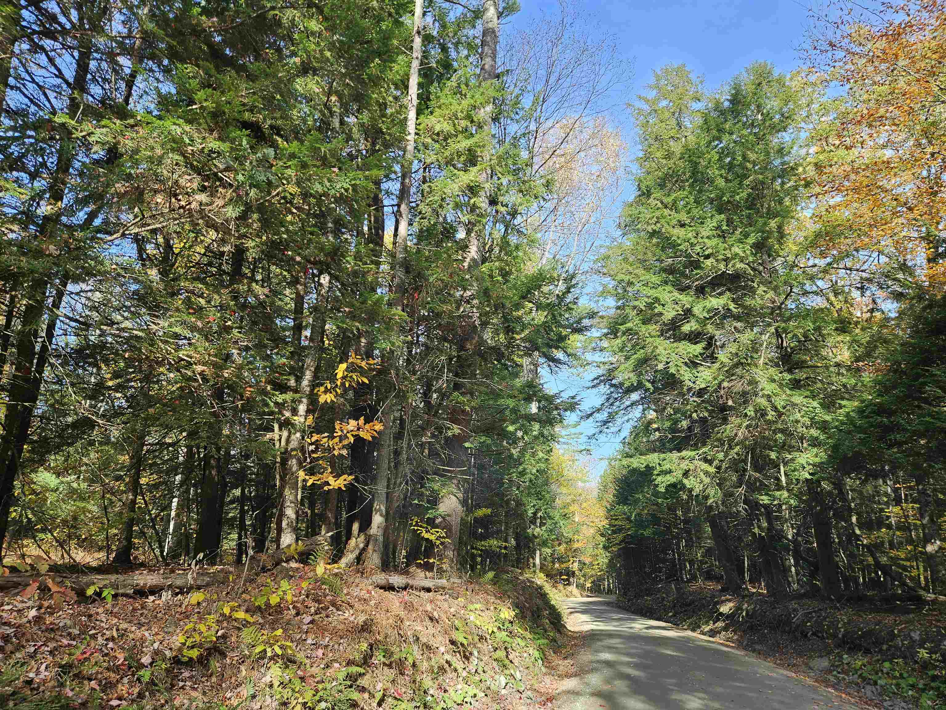 47 Highbridge Road Lyme, NH 03768 - Photo 31 of 43