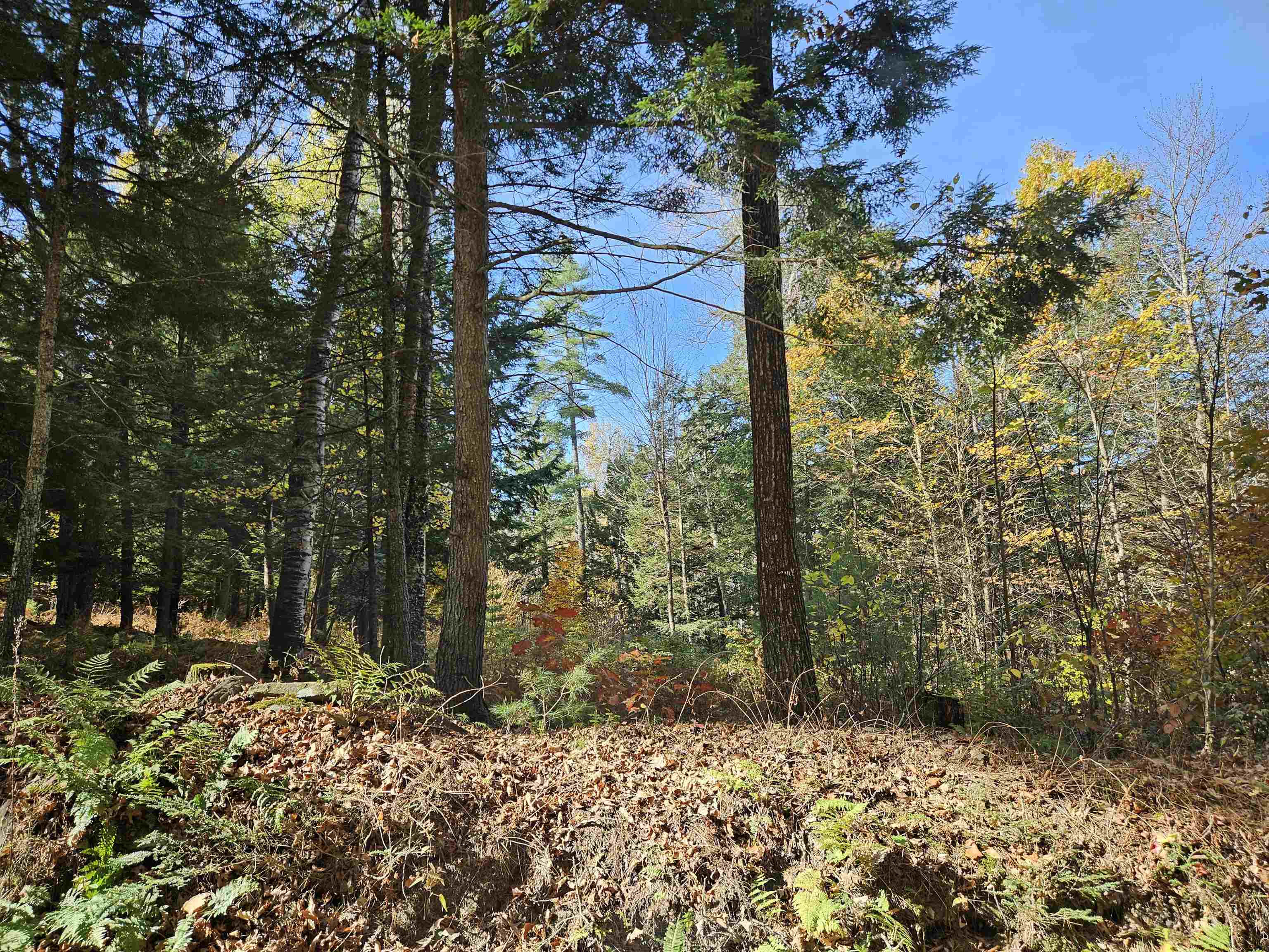 47 Highbridge Road Lyme, NH 03768 - Photo 32 of 43