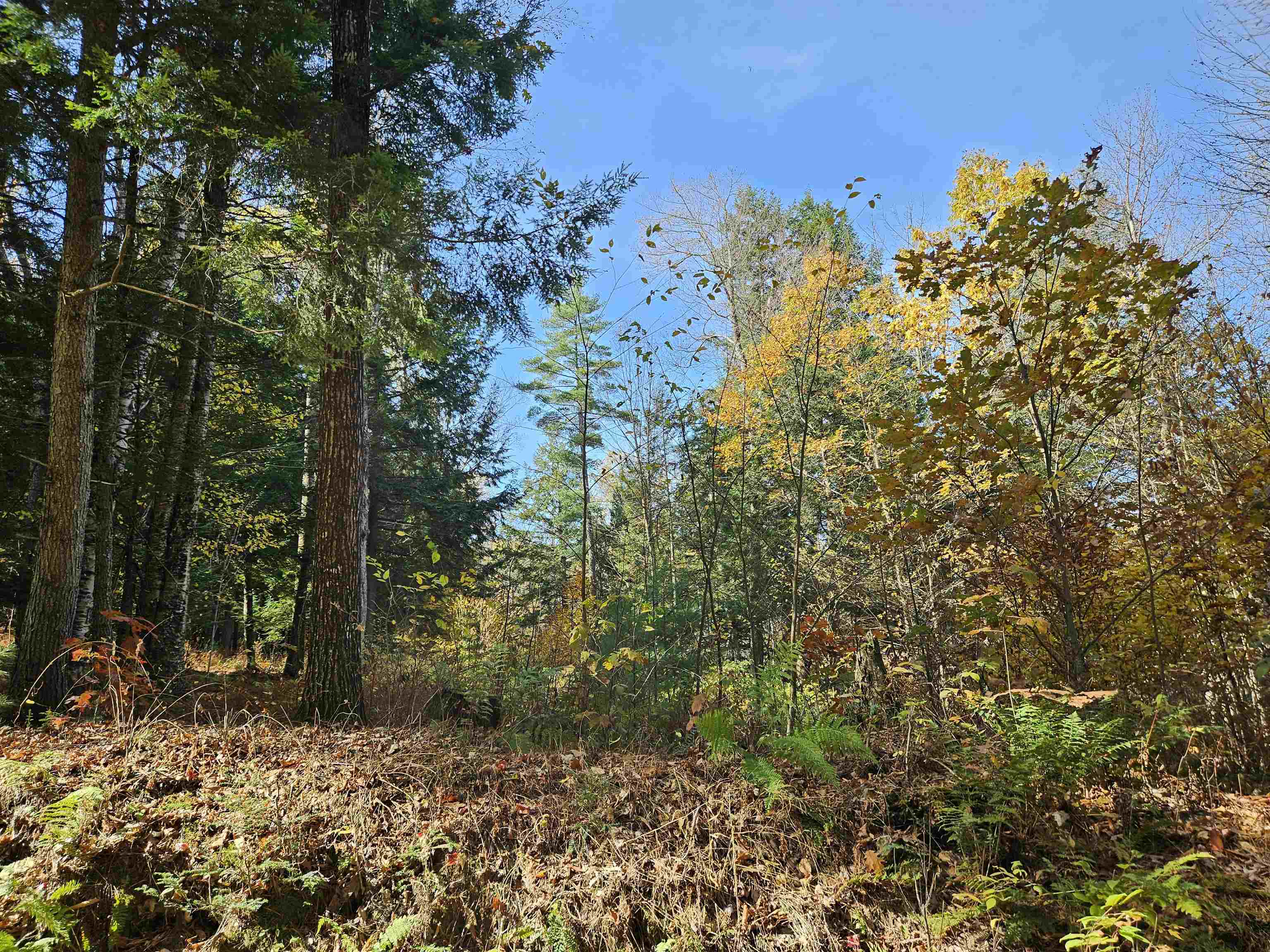 47 Highbridge Road Lyme, NH 03768 - Photo 33 of 43