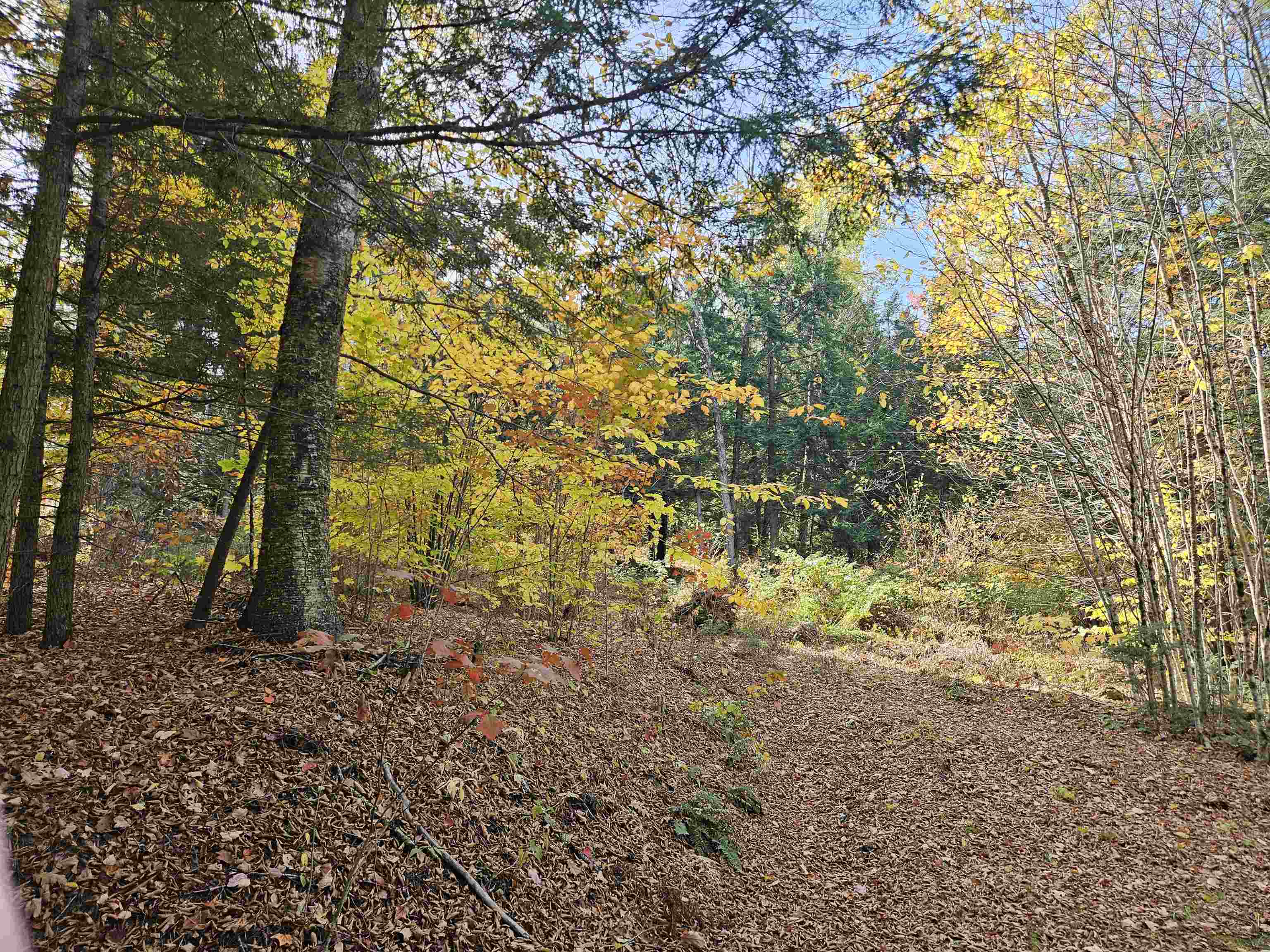 47 Highbridge Road Lyme, NH 03768 - Photo 34 of 43