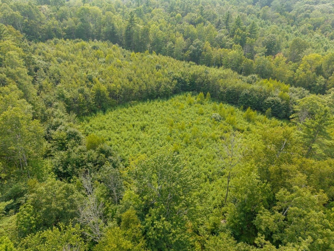 47 Highbridge Road Lyme, NH 03768 - Photo 39 of 43