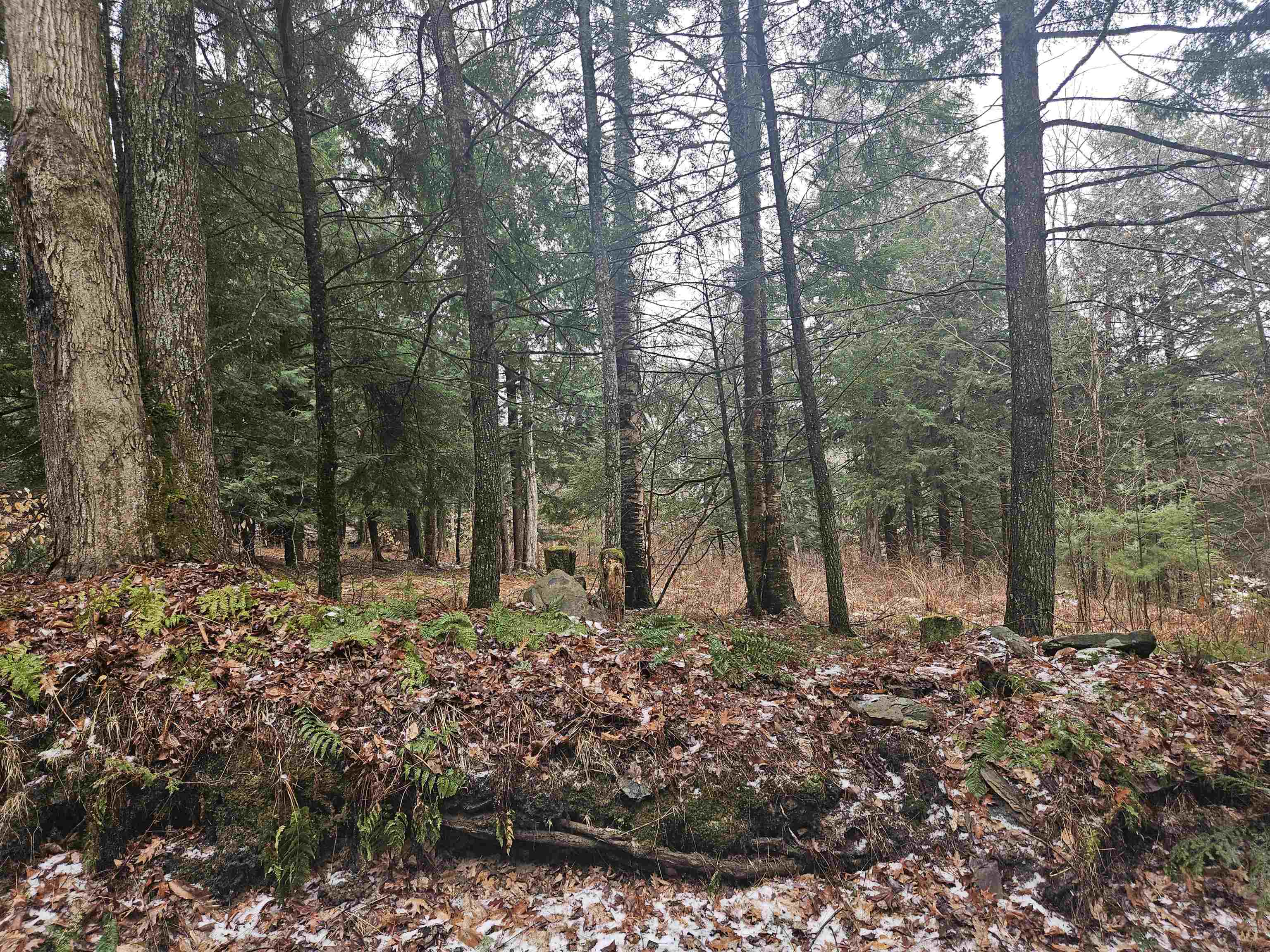 47 Highbridge Road Lyme, NH 03768 - Photo 40 of 43