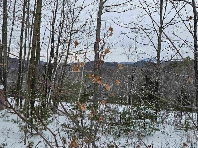 $245,000 | 47 Highbridge Road, Lyme, NH 03768