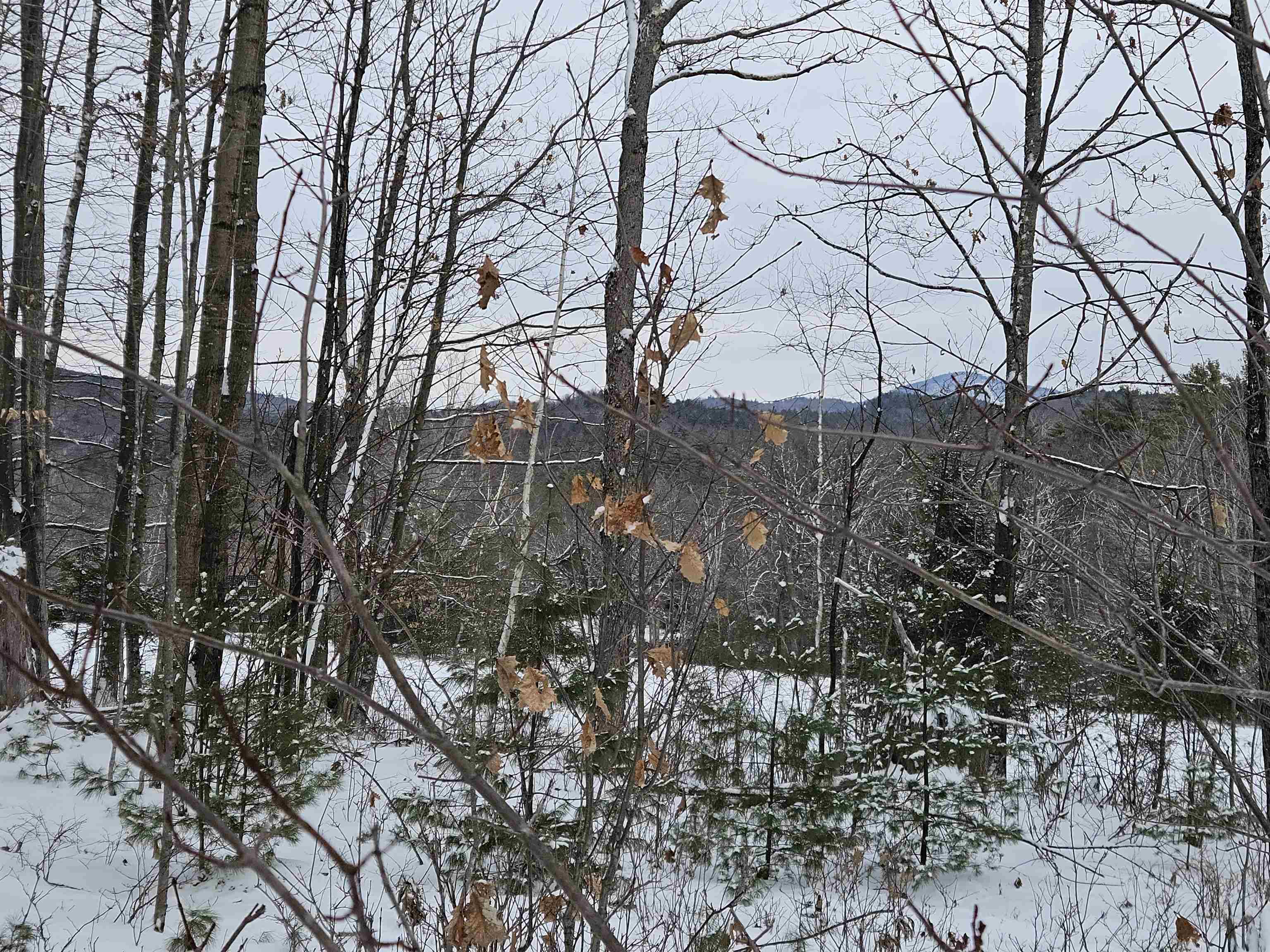 47 Highbridge Road Lyme, NH 03768 - Photo 4 of 43