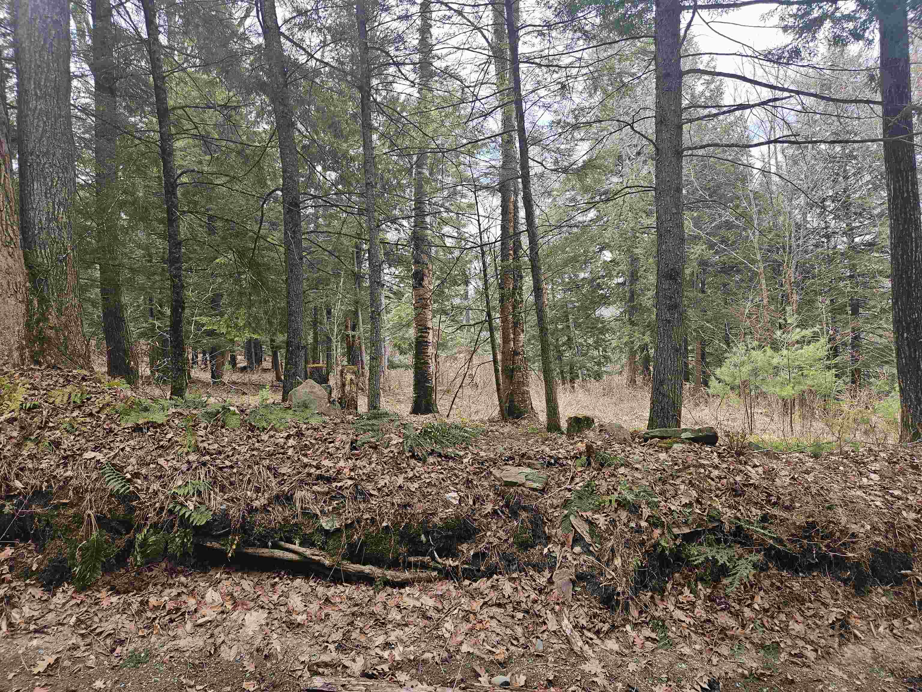 47 Highbridge Road Lyme, NH 03768 - Photo 43 of 43