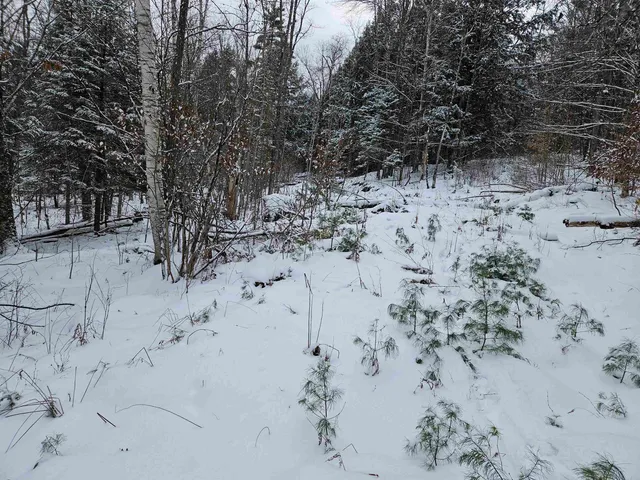 $245,000 | 47 Highbridge Road, Lyme, NH 03768