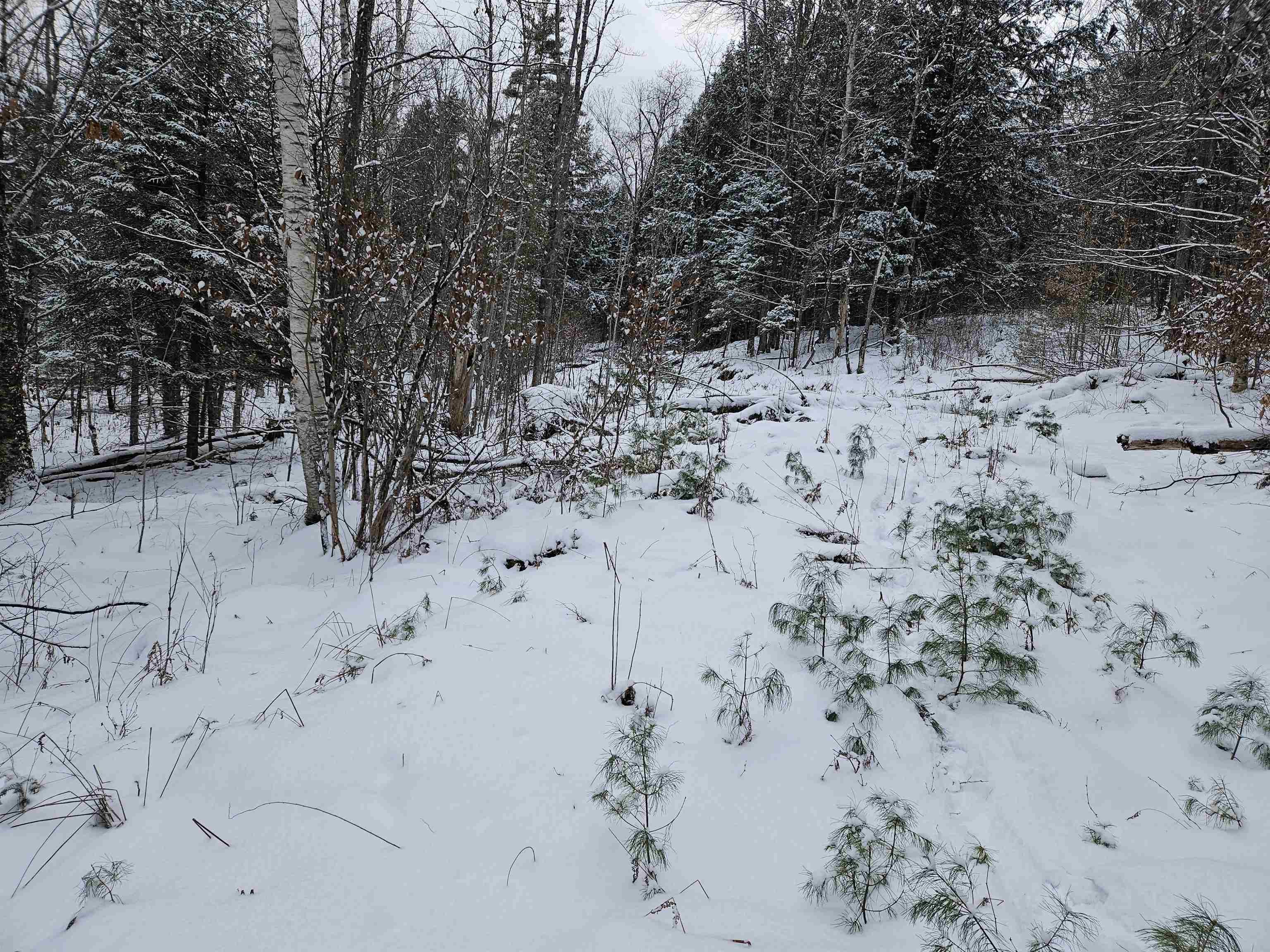 47 Highbridge Road Lyme, NH 03768 - Photo 5 of 43