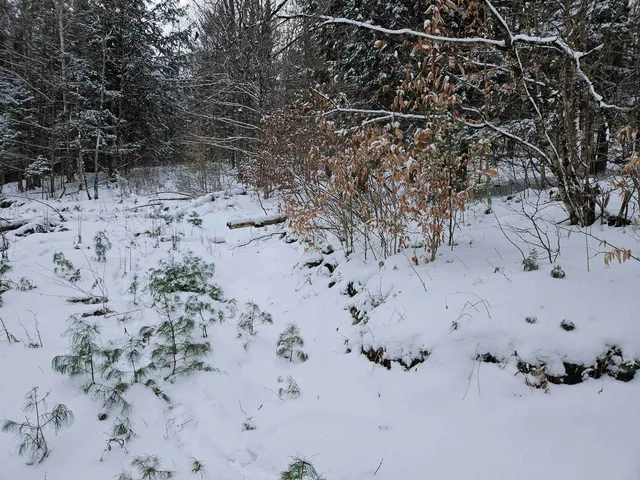 $245,000 | 47 Highbridge Road, Lyme, NH 03768