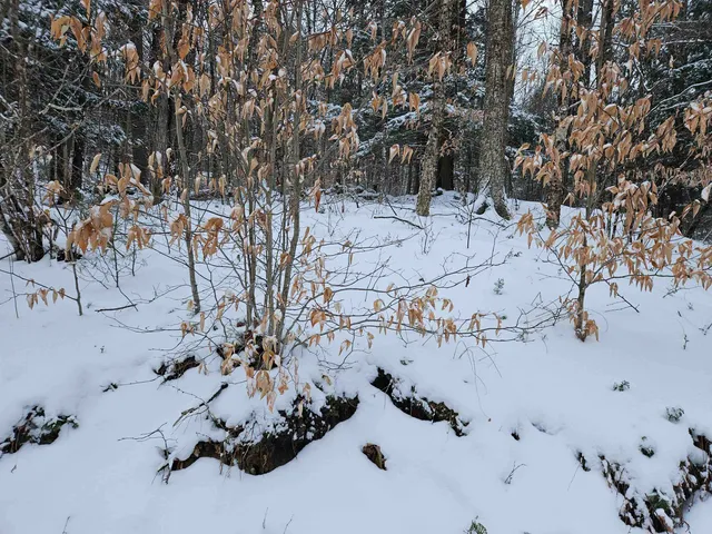 $245,000 | 47 Highbridge Road, Lyme, NH 03768