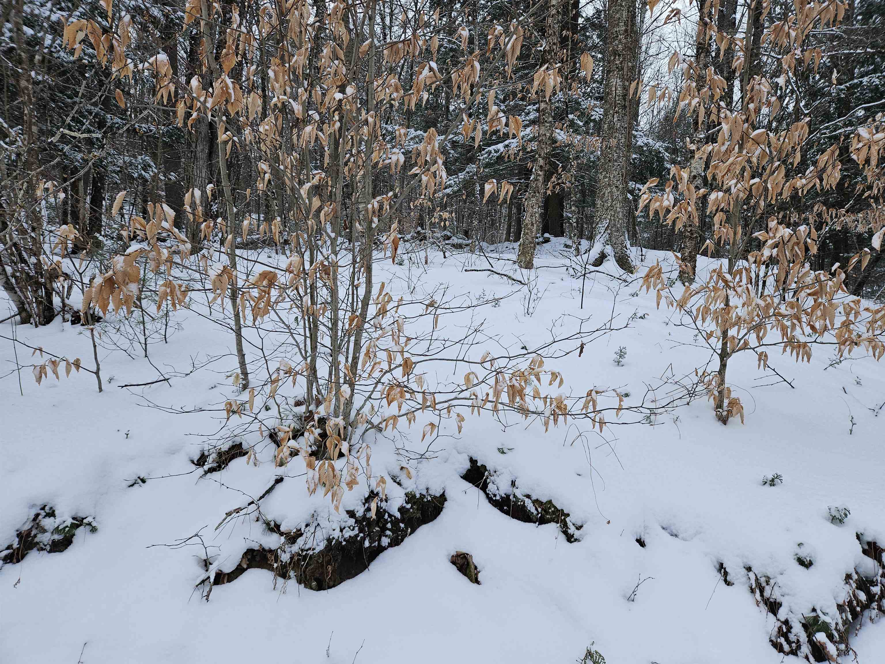 47 Highbridge Road Lyme, NH 03768 - Photo 7 of 43