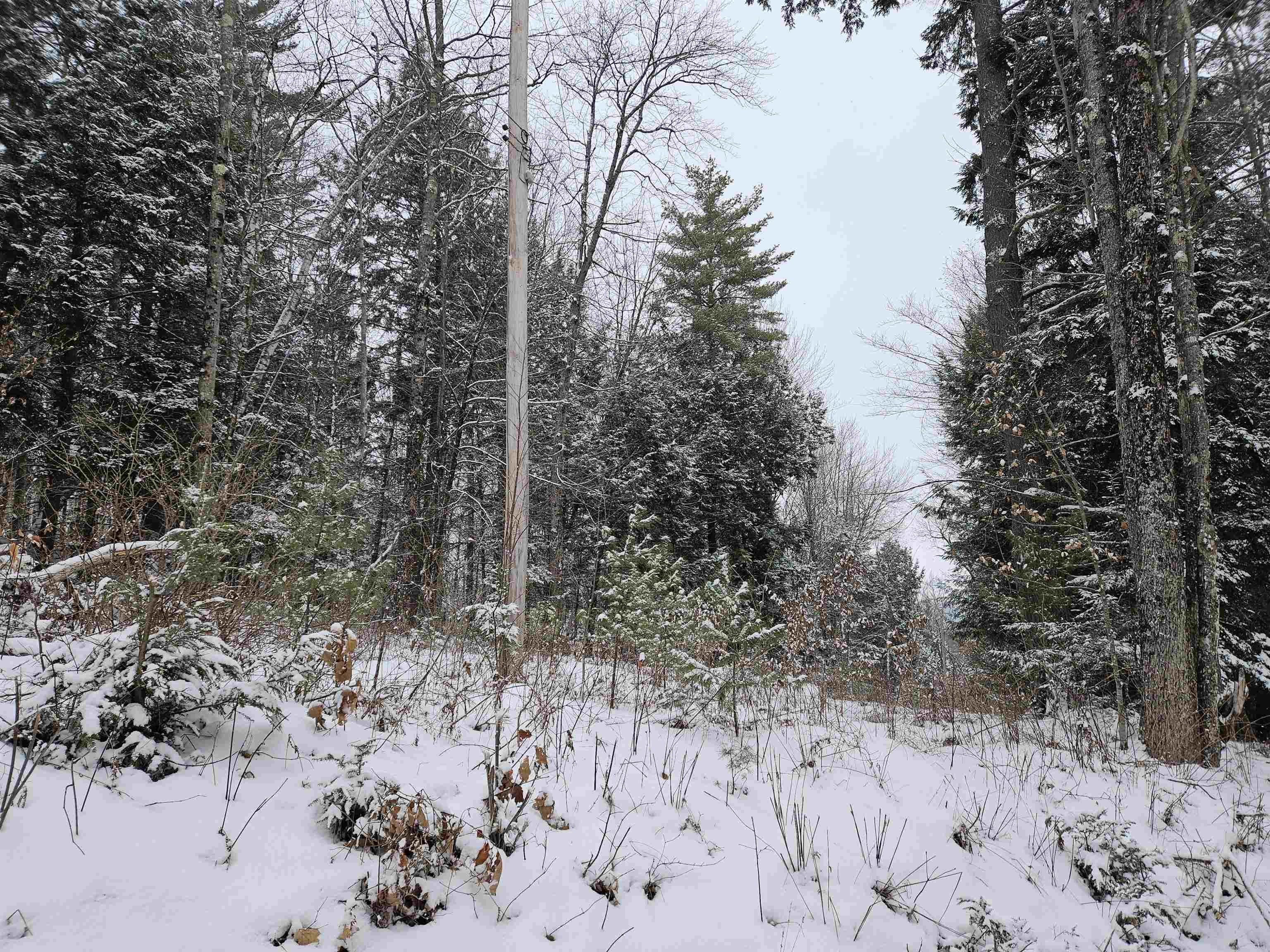 47 Highbridge Road Lyme, NH 03768 - Photo 8 of 43