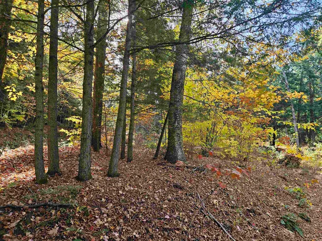 $245,000 | 47 Highbridge Road, Lyme, NH 03768