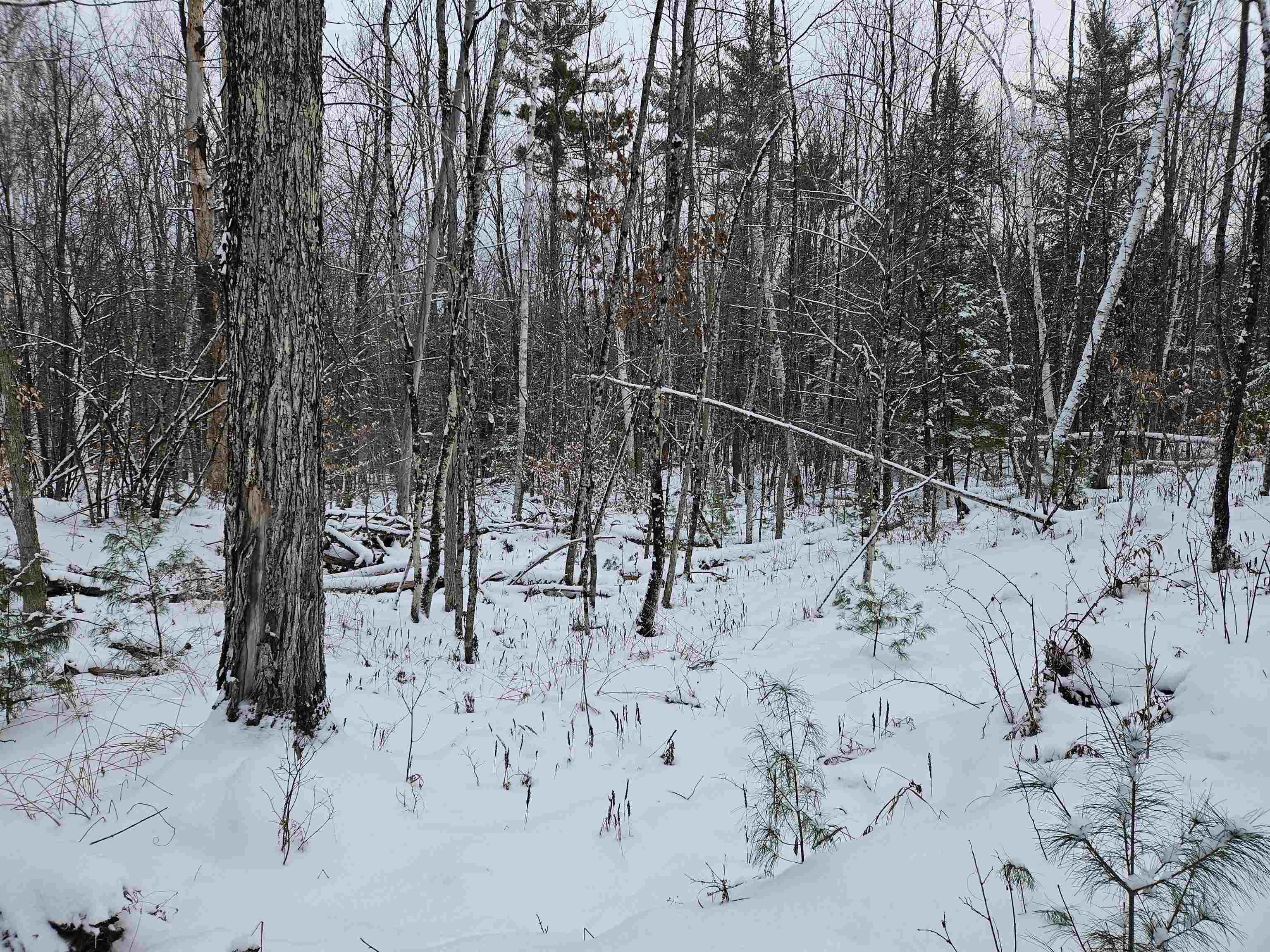 47 Highbridge Road Lyme, NH 03768 - Photo 10 of 43