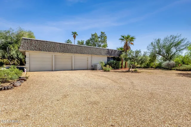 a view of a yard with trees