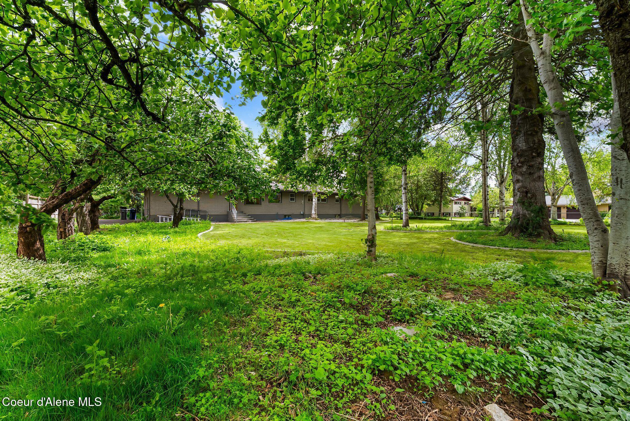1104 Birch Street Sandpoint, ID 83864 - Photo 71 of 87 Back Yard