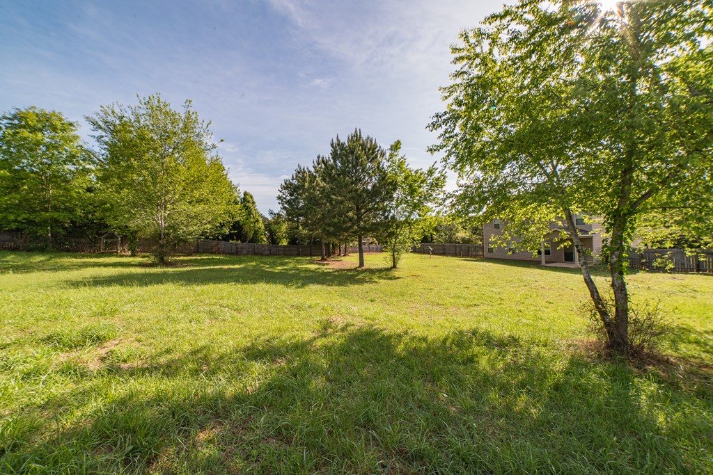 87 Ginn Lake Road Ellerslie, GA 31807 - Photo 5 of 28 Gallery Image 5