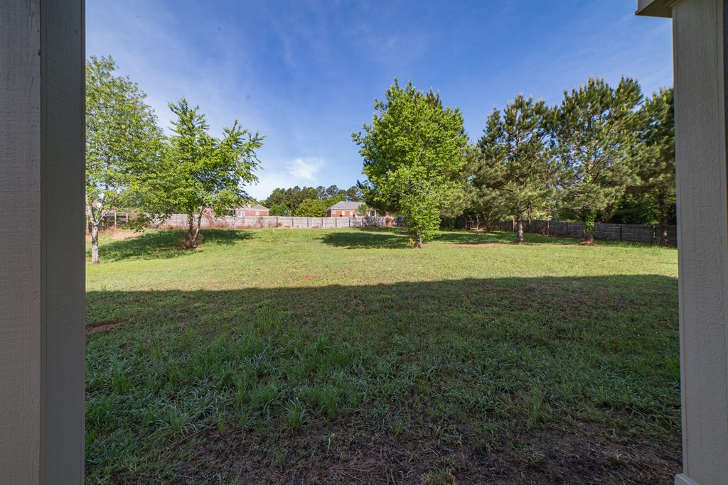 87 Ginn Lake Road Ellerslie, GA 31807 - Photo 7 of 28 Gallery Image 7