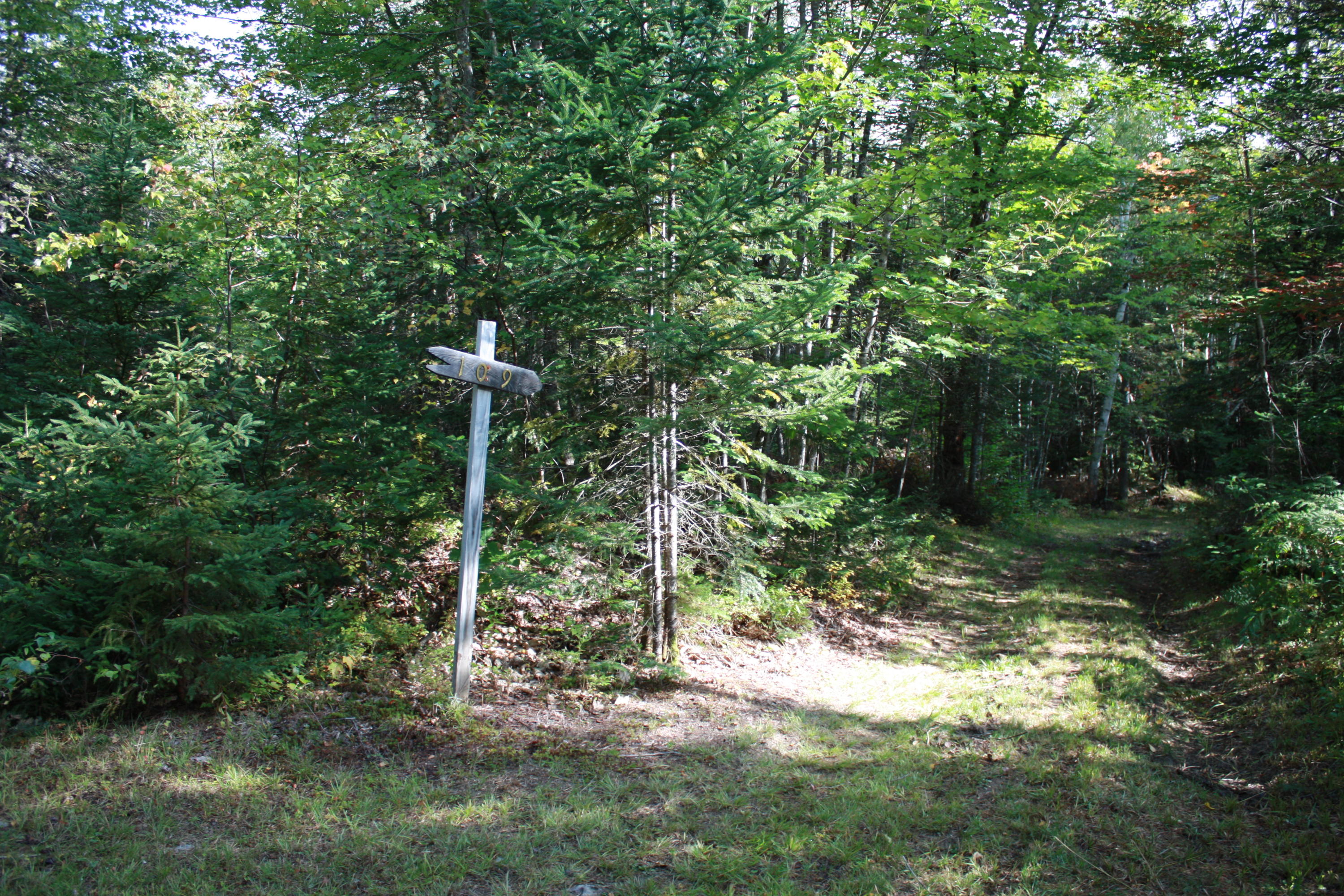 109 North Road Shirley Mills, ME 04485 - Photo 41 of 41 IMG_8393
