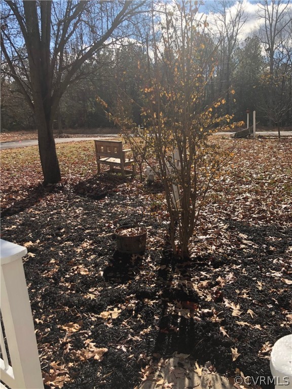 11636 River Road Chesterfield, VA 23838 - Photo 36 of 50 a view of a large tree