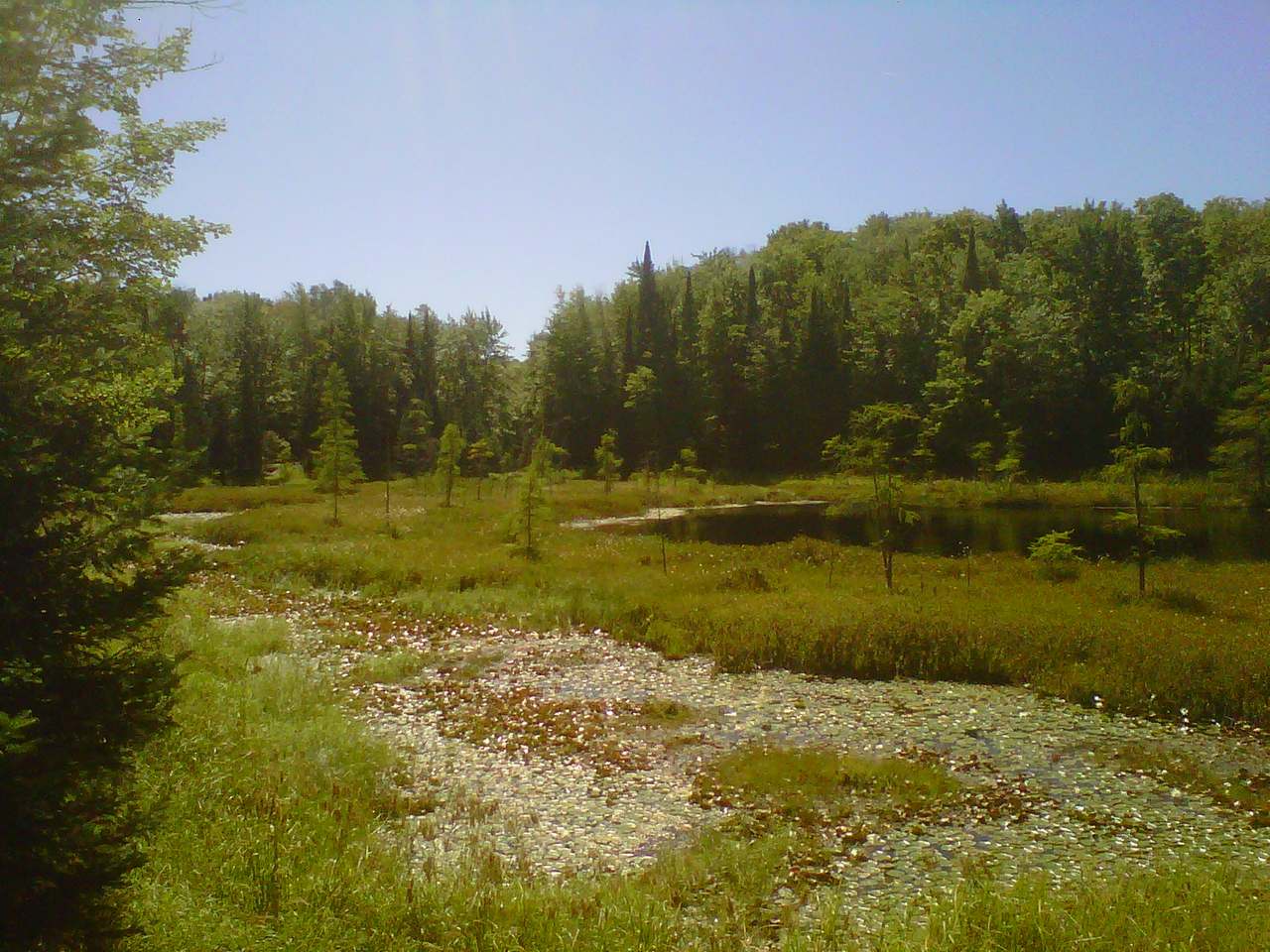 Lot 29 Gemstone Road Presque Isle, WI 54557 - Photo 9 of 12 Gallery Image 9