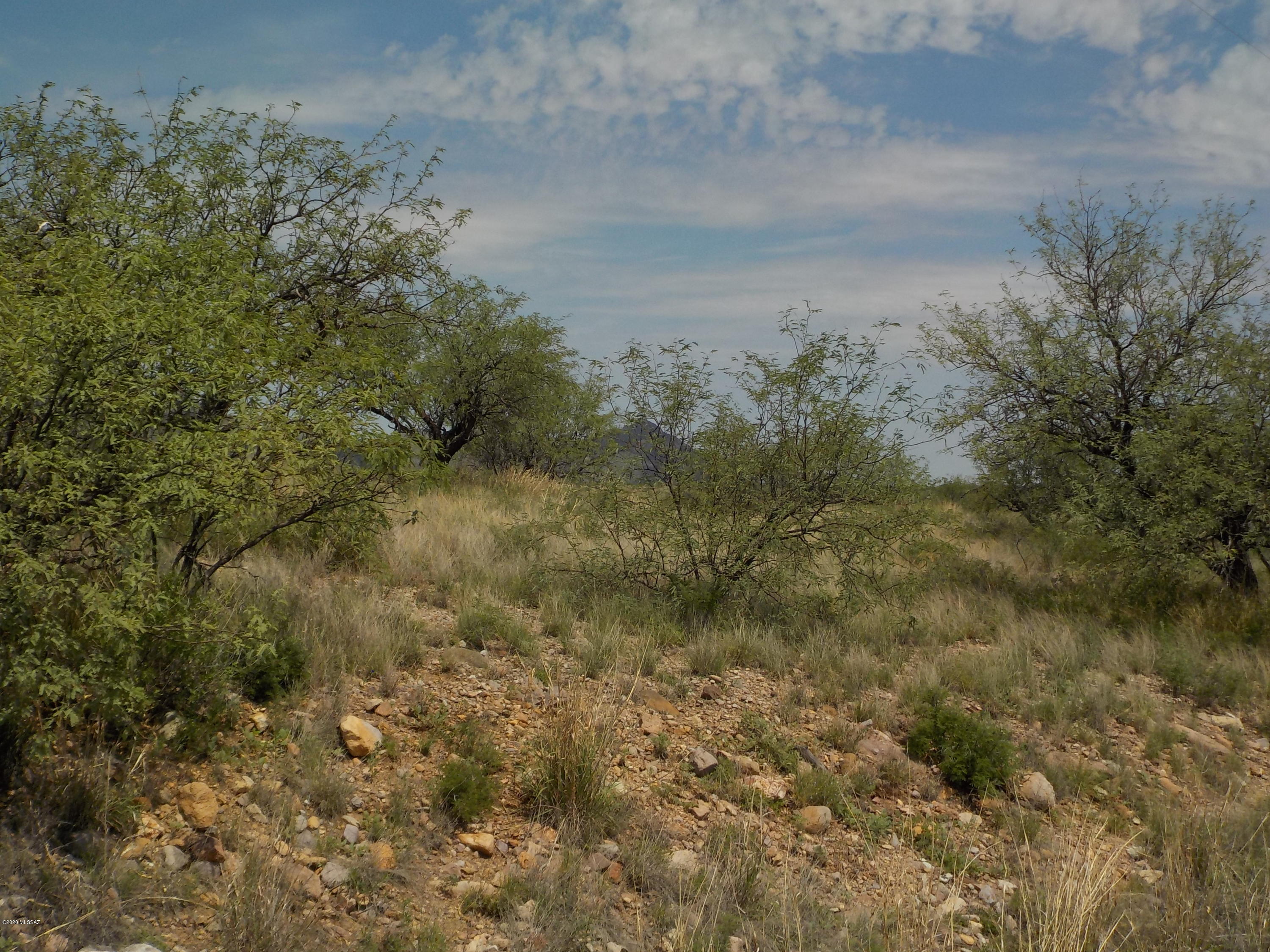 734 Arnoldo Court, Unit 3 Rio Rico, AZ 85648 - Photo 8 of 11