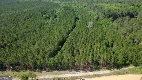 $42,500 | 0 A L Reeve's Road, Fitzgerald, GA 31750