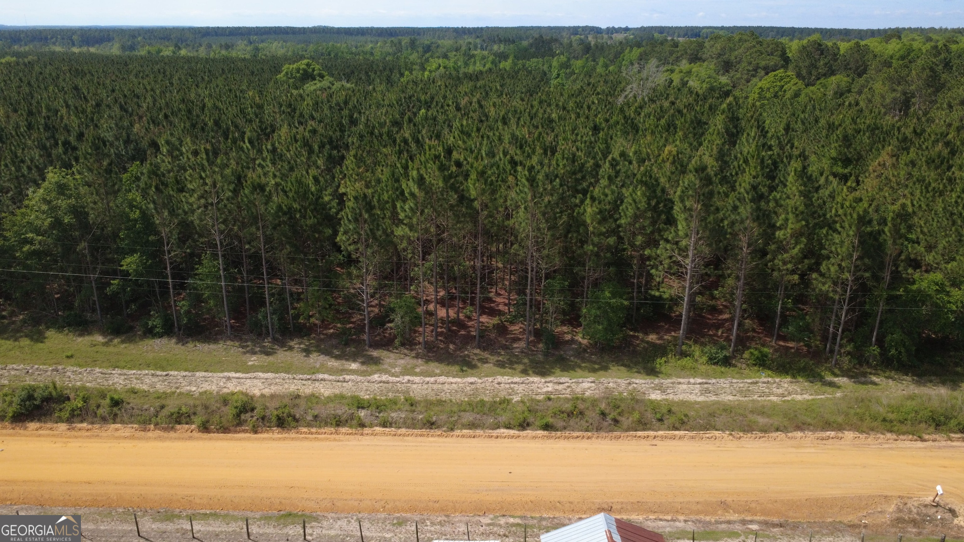 0 A L Reeve's Road Fitzgerald, GA 31750 - Photo 2 of 4