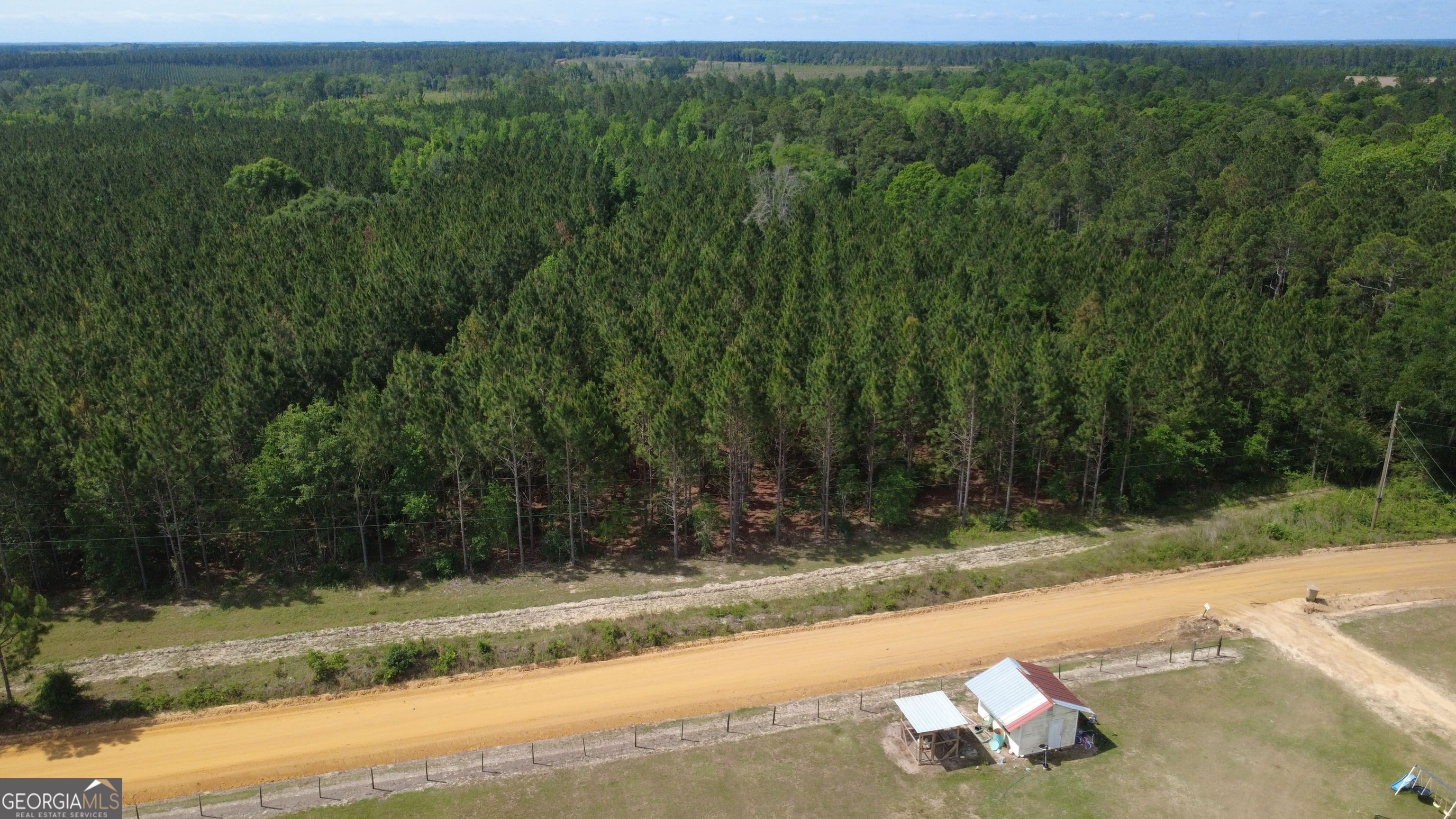 0 A L Reeve's Road Fitzgerald, GA 31750 - Photo 3 of 4