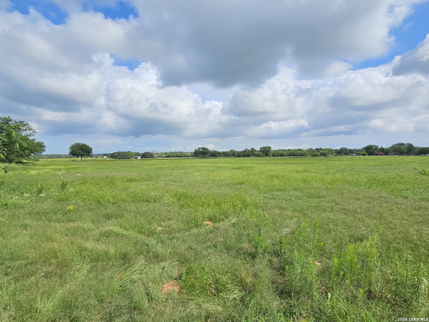 17690 Pleasanton Road San Antonio, TX 78221 - Photo 4 of 6