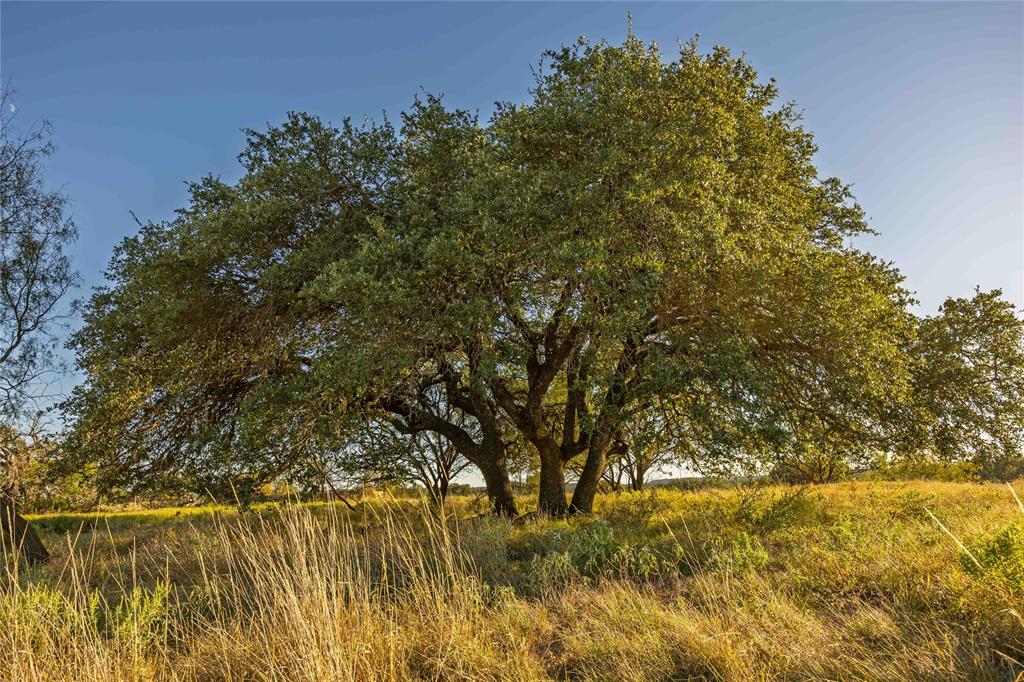 3270 Fm-573 Comanche, TX 76442 - Photo 25 of 40