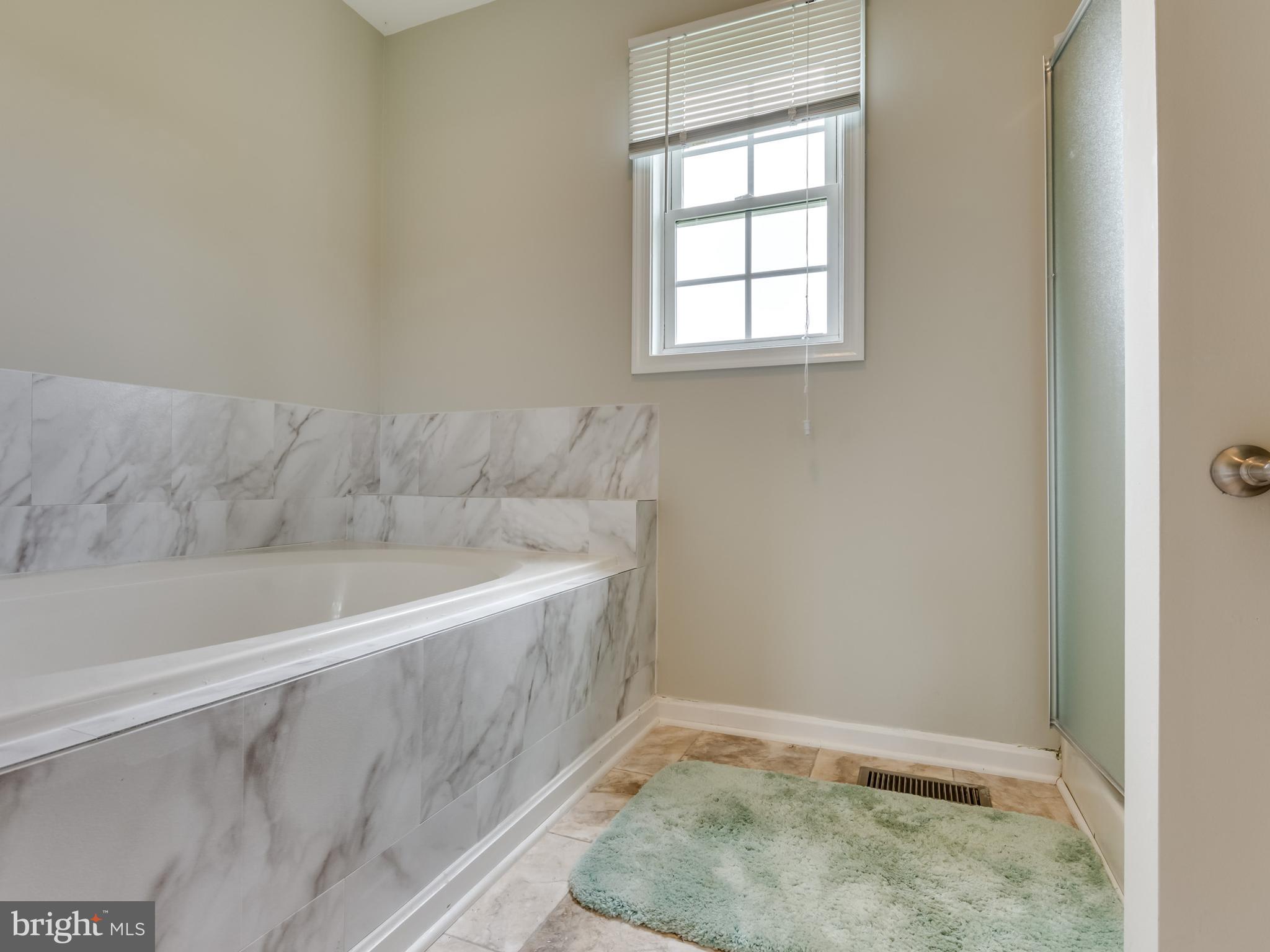 166 Muzzey Road Shepherdstown, WV 25443 - Photo 15 of 25 Bath (Master)