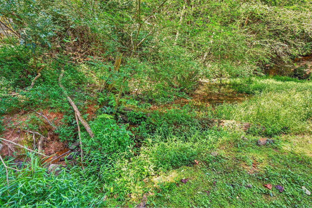 466 Ellington Road Ellijay, GA 30540 - Photo 8 of 28 Gallery Image 8