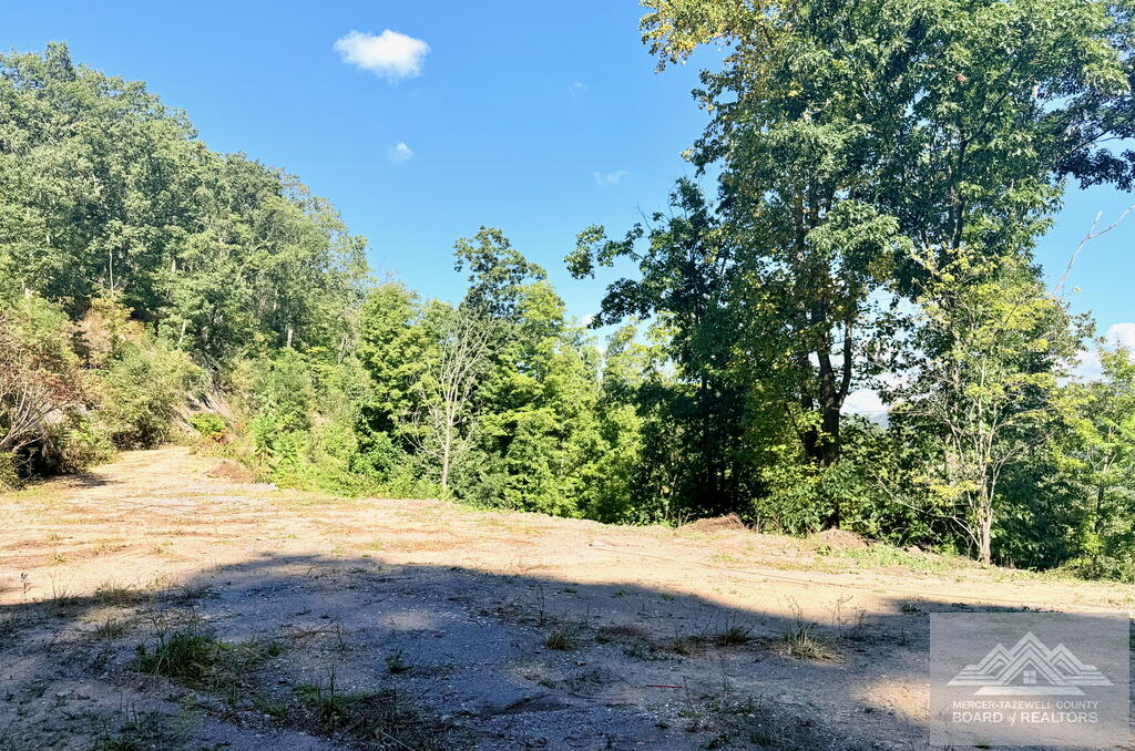 0 Country Girl Road Bluefield, WV 24701 - Photo 6 of 15 Gallery Image 6