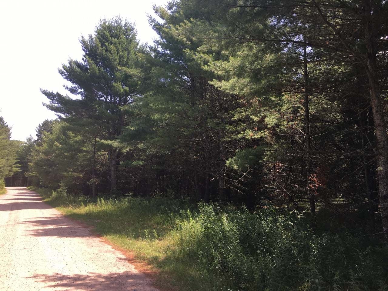 Lot 9 Old 26 Road Conover, WI 54519 - Photo 16 of 19 Gallery Image 16