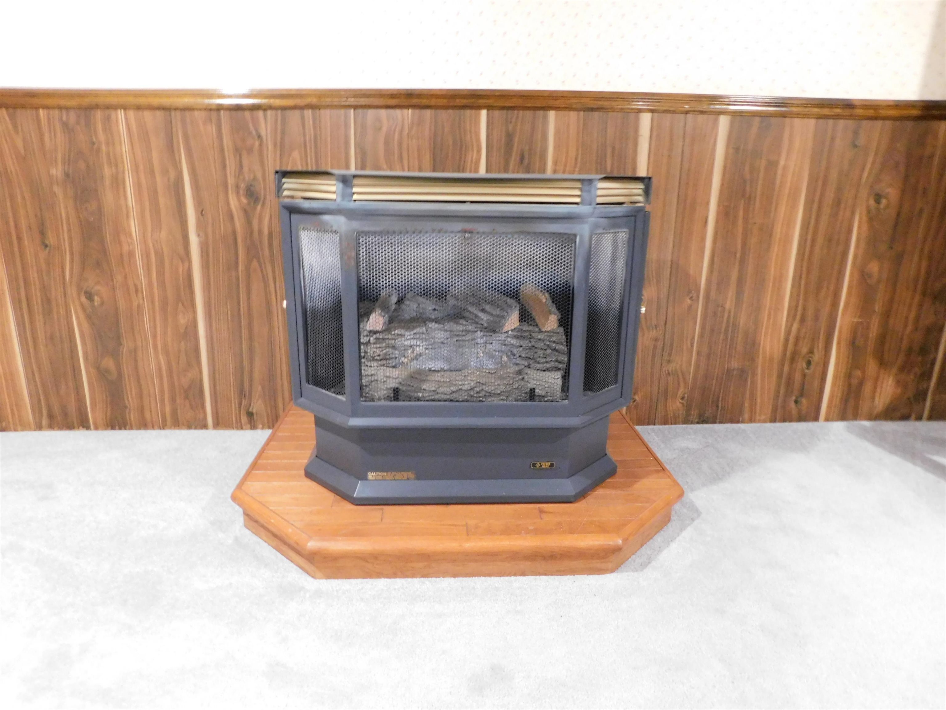 5030 Cochrane Road Almont, MI 48003 - Photo 20 of 36 Propane Fireplace