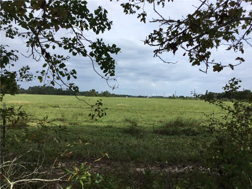 Jackson Gimnick(lot 1) Road Ragley, LA 70657 - Photo 2 of 2