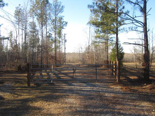 603 Timber Ridge Road Senoia, GA 30276 - Photo 1 of 1 Gallery Image 1
