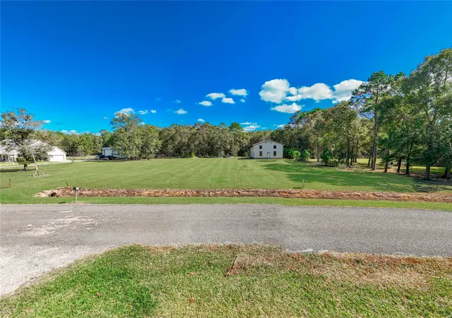 a view of a big yard with large trees