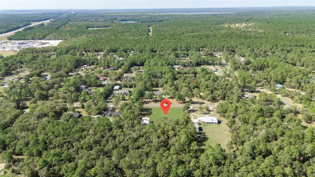 an aerial view of residential houses with outdoor space and trees