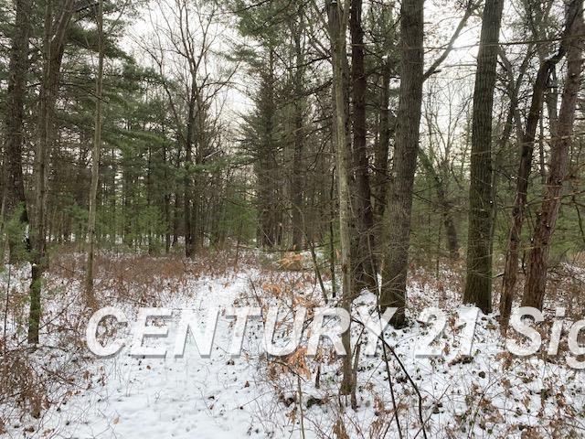 0 West Wackerly Road Sanford, MI 48657 - Photo 12 of 19