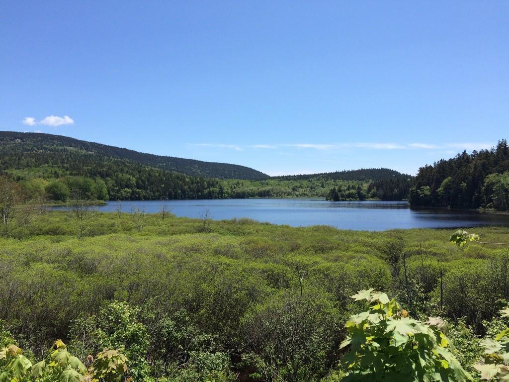 1248 Tremont Road Seal Cove, ME 04674 - Photo 6 of 29 Photo