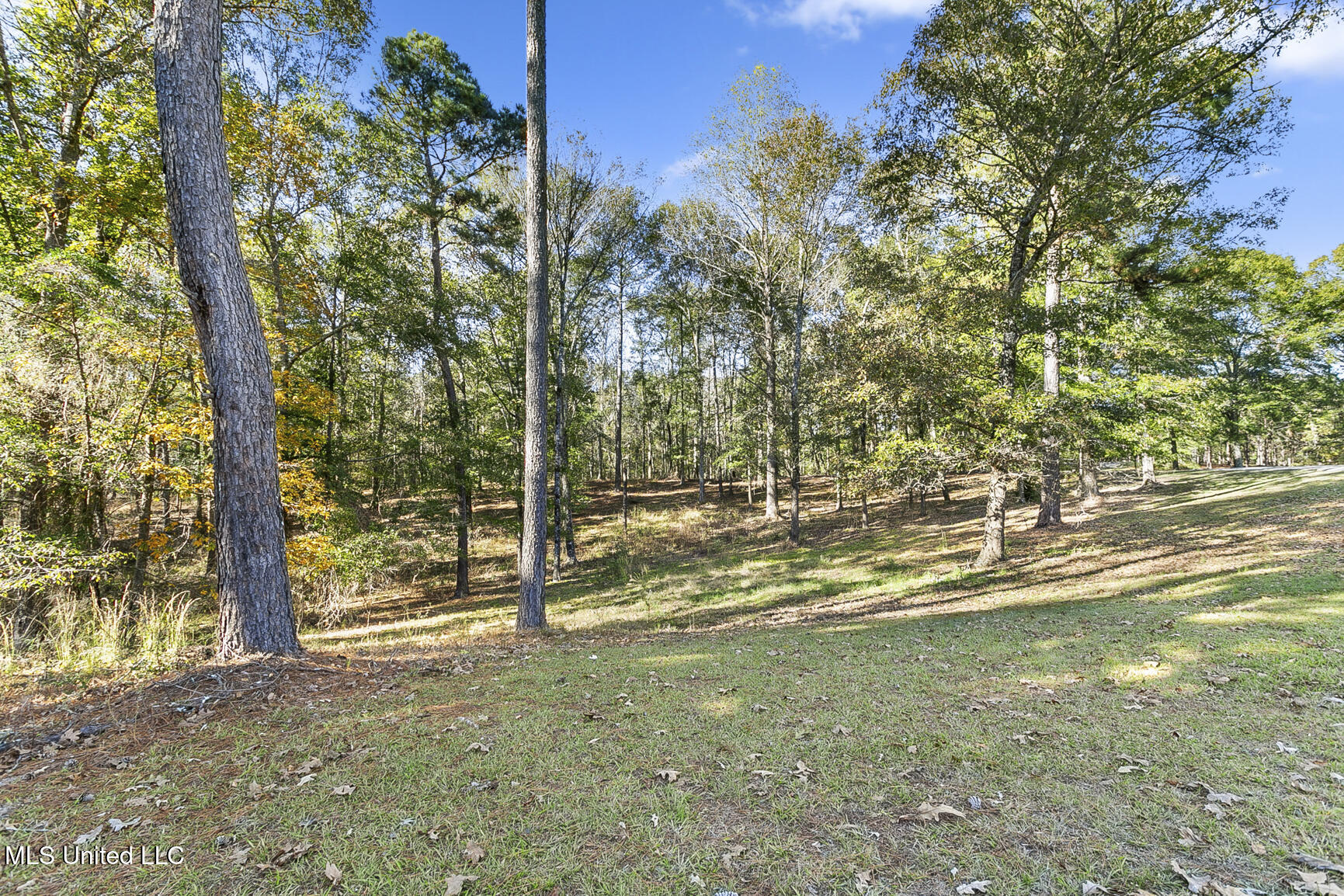410 Cole Road Mendenhall, MS 39114 - Photo 54 of 76 410 Cole Rd-46