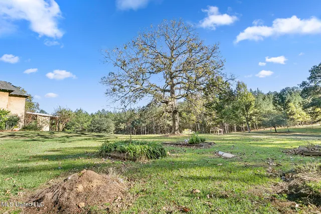 $990,000 | 410 Cole Road, Mendenhall, MS 39114