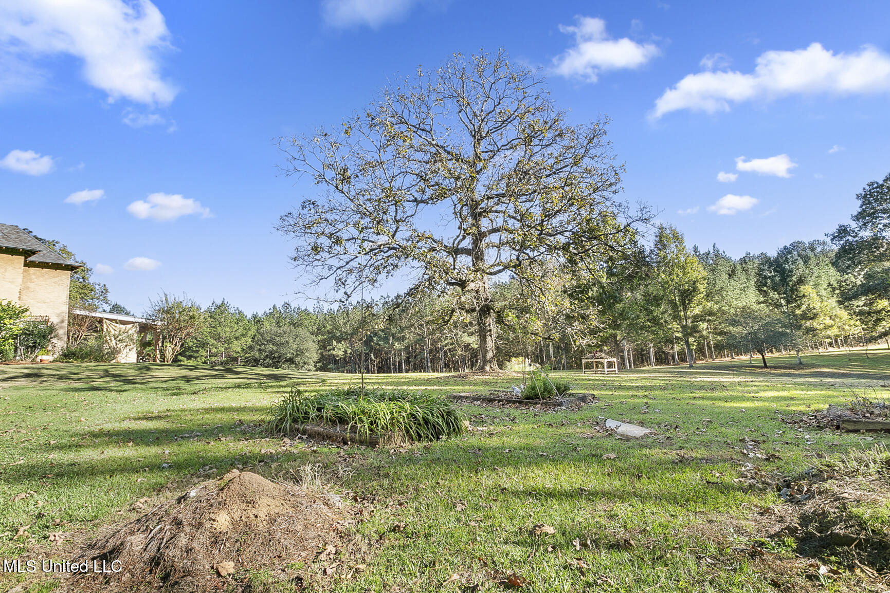 410 Cole Road Mendenhall, MS 39114 - Photo 55 of 76 410 Cole Rd-47