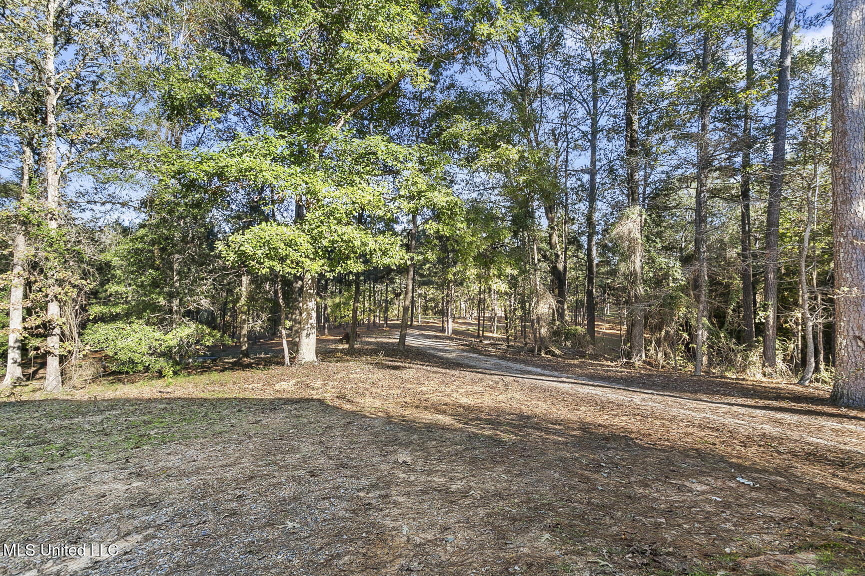 410 Cole Road Mendenhall, MS 39114 - Photo 70 of 76 410 Cole Rd-62